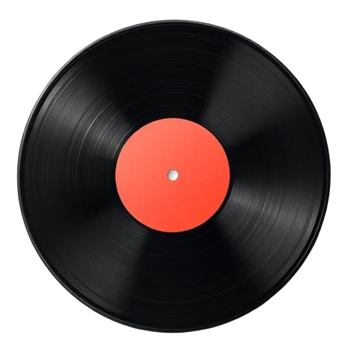Vinyl Record
